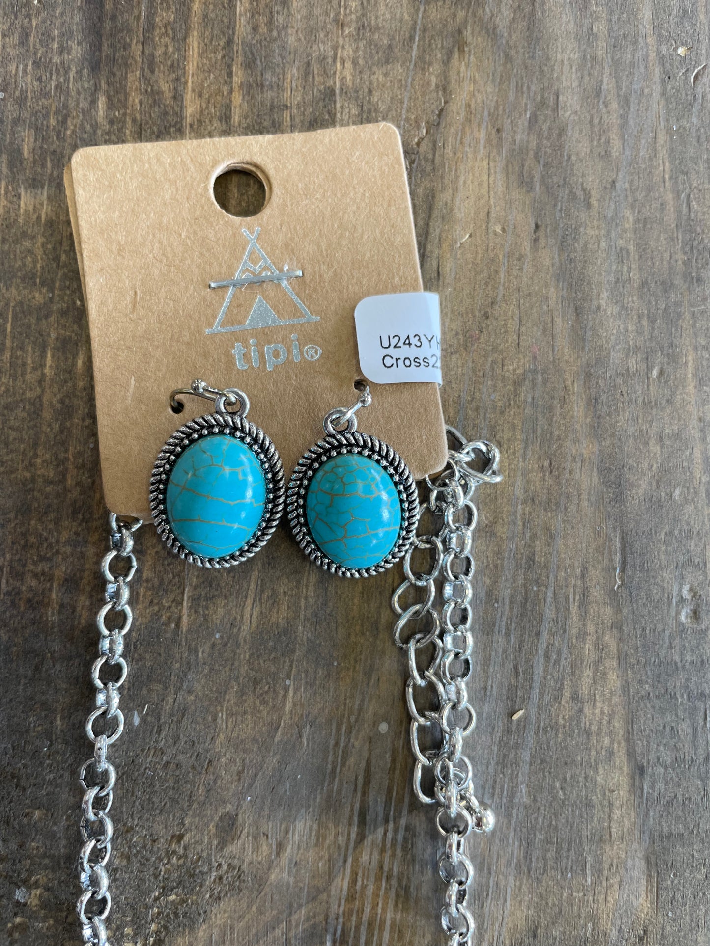 Buffalo Silver Dollar Necklace/ Earring Set